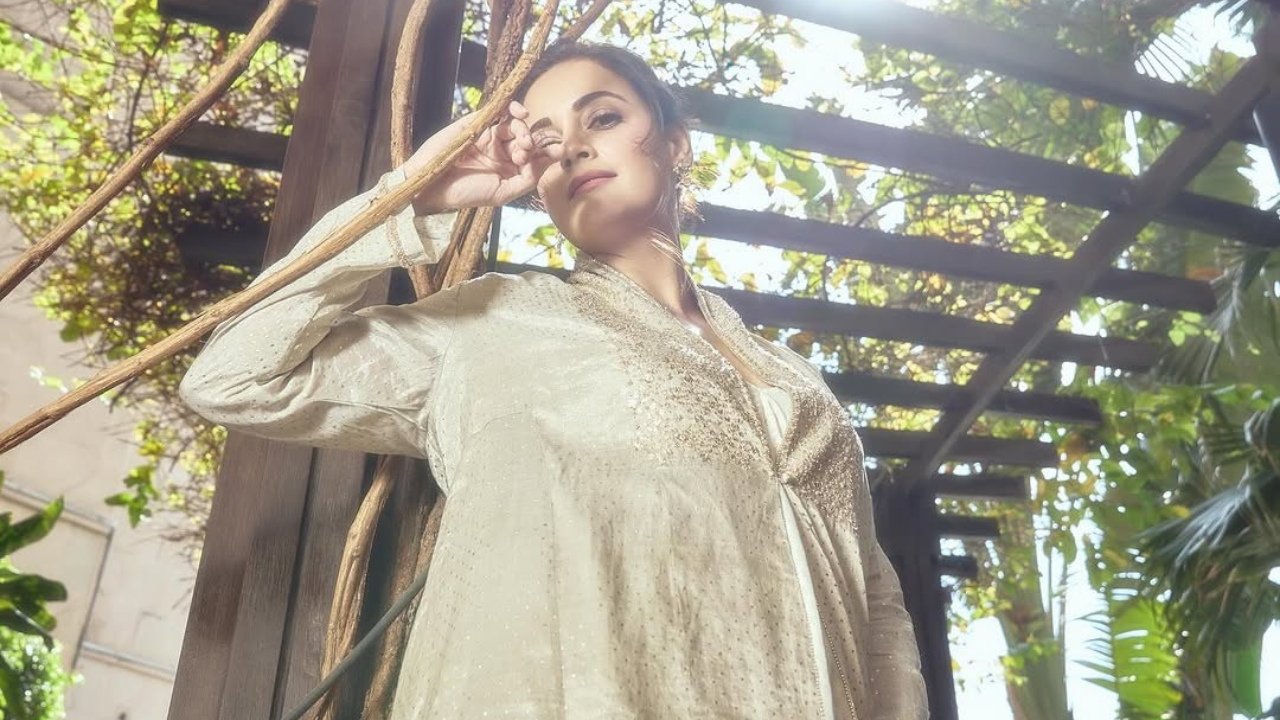दिया मिर्झाने शेअर केला नवीन Photoshoot. (फोटो सौजन्य - Social Media)