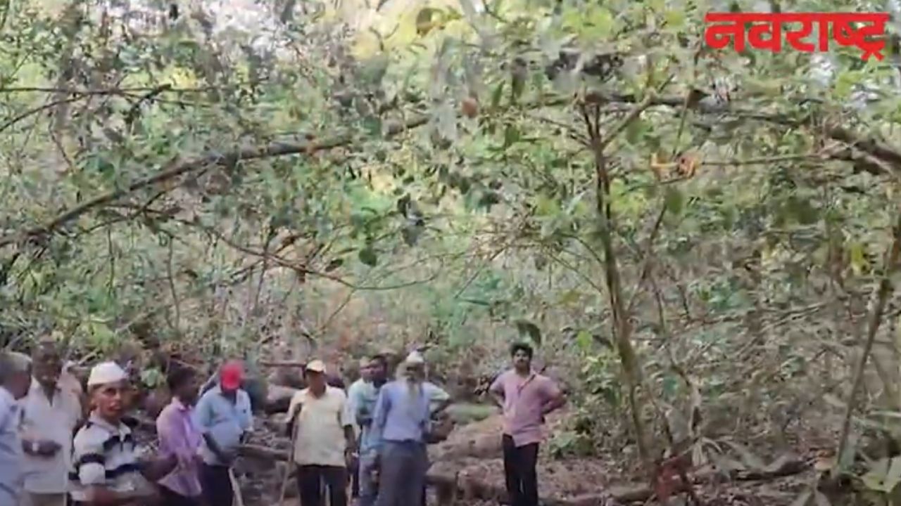 Ratnagiri : रत्नागिरीतील संगमेश्वर तालुक्यात शिमगोत्सवाचा उत्साह शिगेला