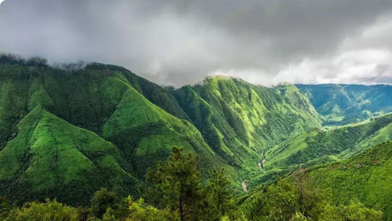 शिलाँग, मेघालय : मेघालयाचा बहुतांश भाग हा डोंगर दऱ्यांनी वेढलेला आहे. वसंतात  शिलाँगमध्ये ऑर्किड फुलांचा बहर असतो. खास ही फुलं पाहण्यासाठी पर्यटक आवर्जून येतात.  