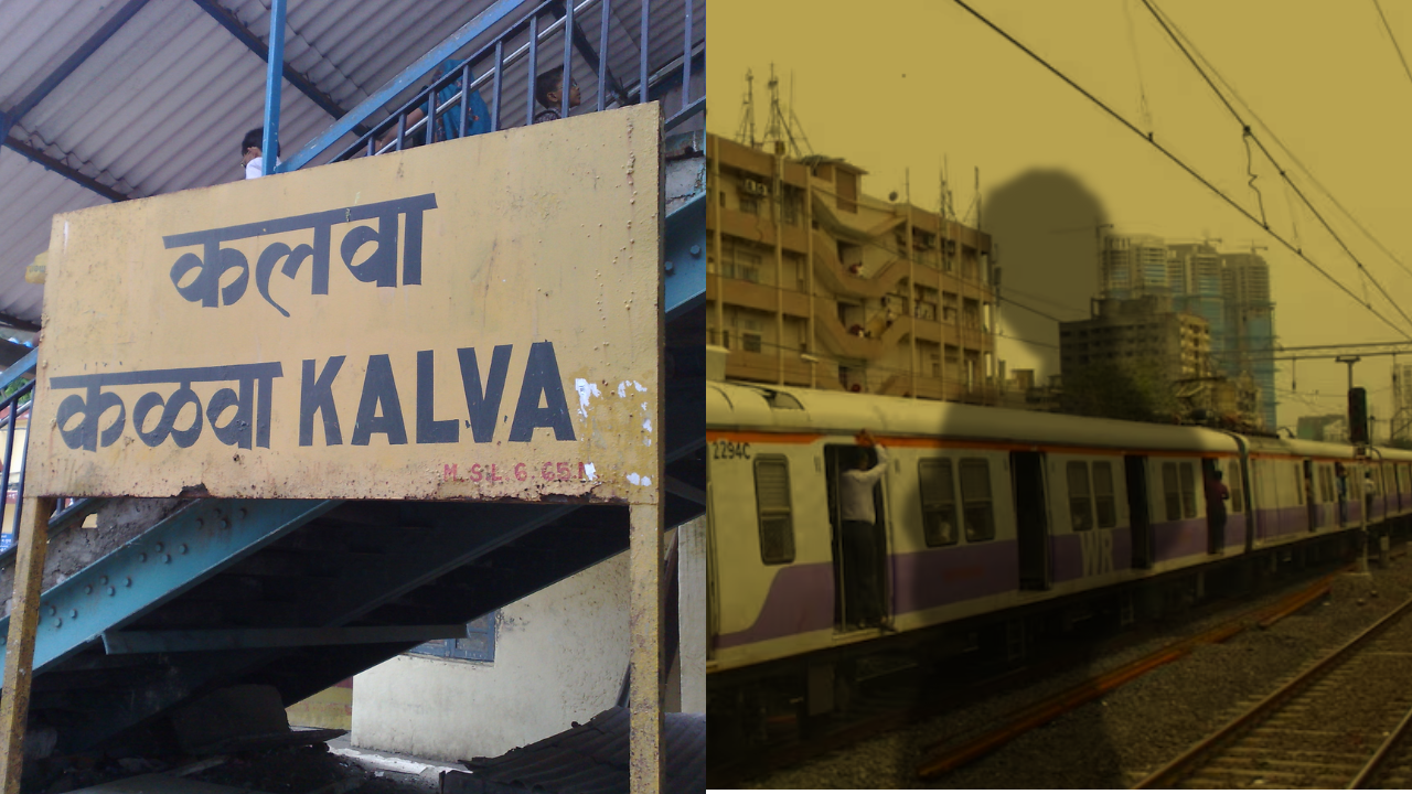 'ती' दररोज कळवा खाडीत द्यायची जीव. (फोटो सौजन्य - Social Media)