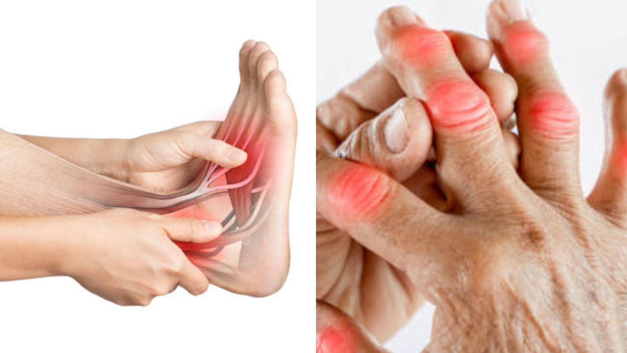 युरिक अ‍ॅसिडवरील घरगुती उपाय आहेत या बिया (फोटो सौजन्य - iStock)