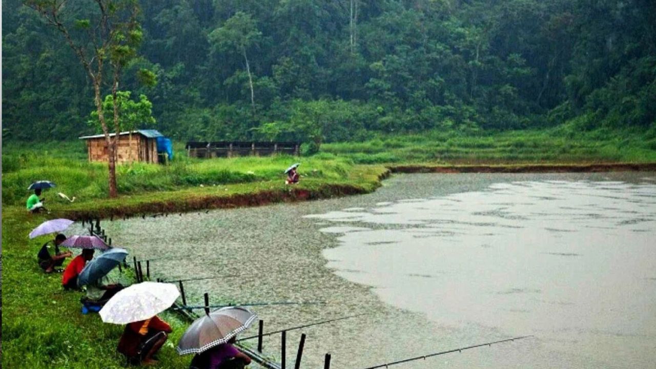 पाऊस आणि हिरवाईने नटलेला निसर्ग हा अनेकांना वेड लावतो. असाचं पावसातला निसर्ग अनुभावयचा असल्यास तुम्ही मेघालय ट्रीप करणाऱ्या प्लॅन करु शकता. 