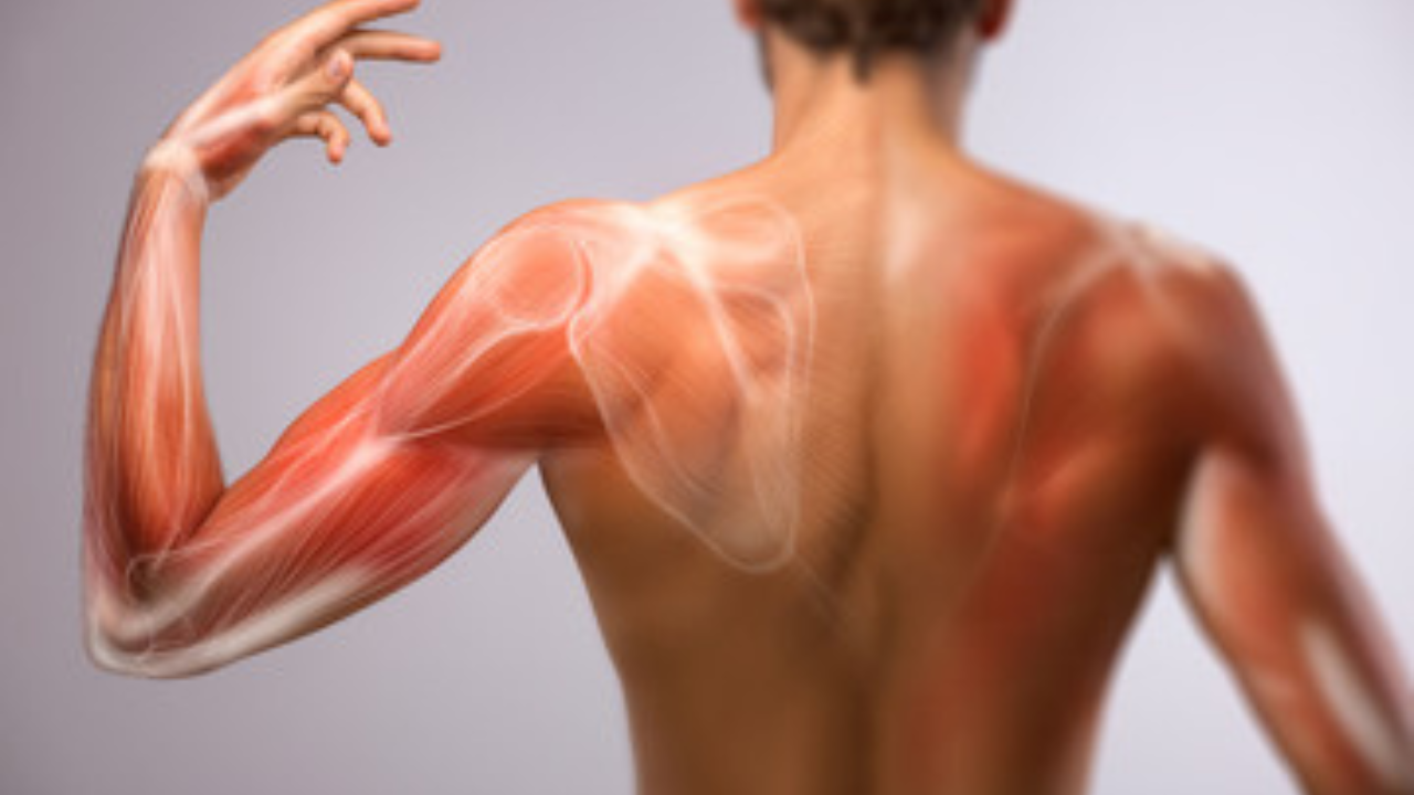 स्नायू घट्ट करणे