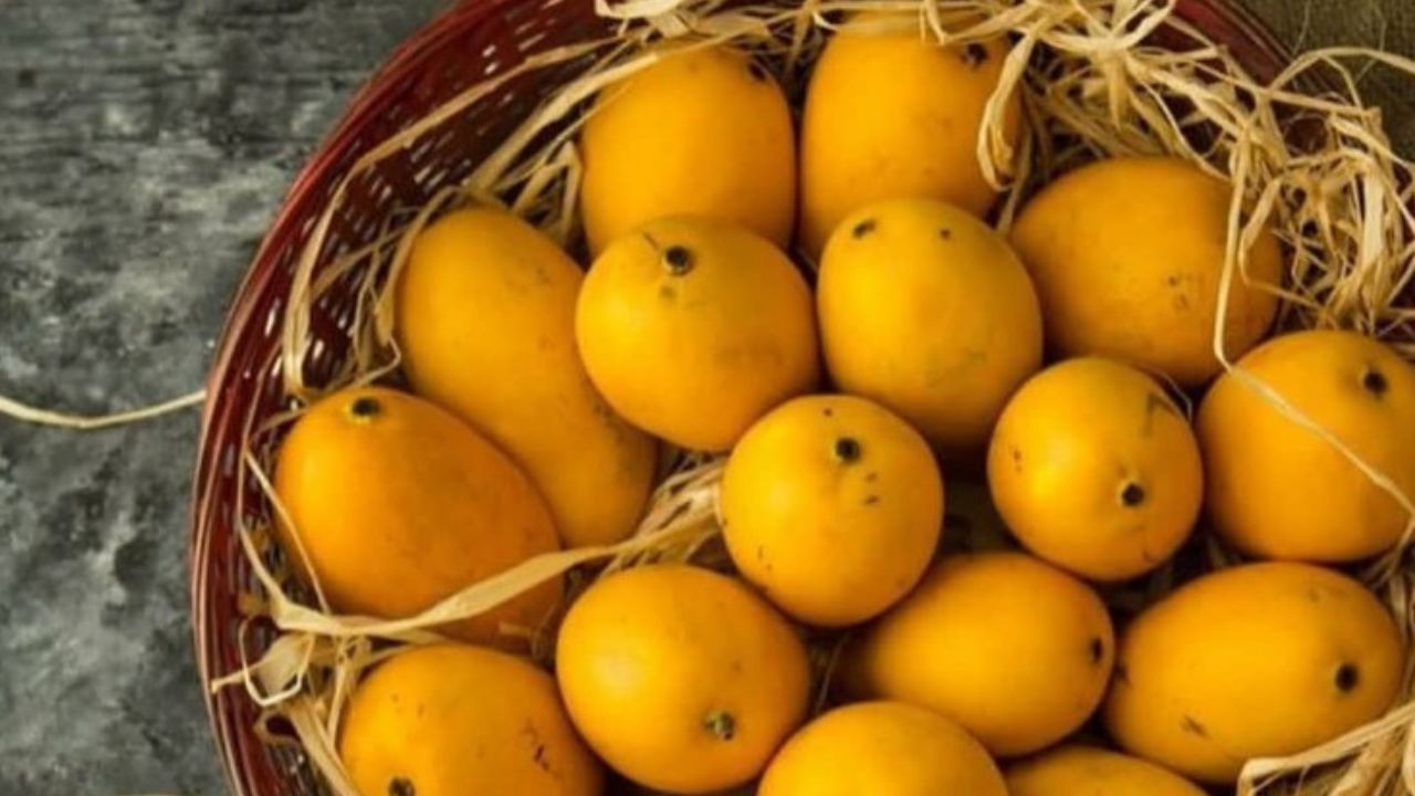आंबा हा नैसर्गिकरित्या उष्ण आहे. आंबा खाण्यापूर्वी तो काही मिनिटं थंड पाण्यात ठेवा. 