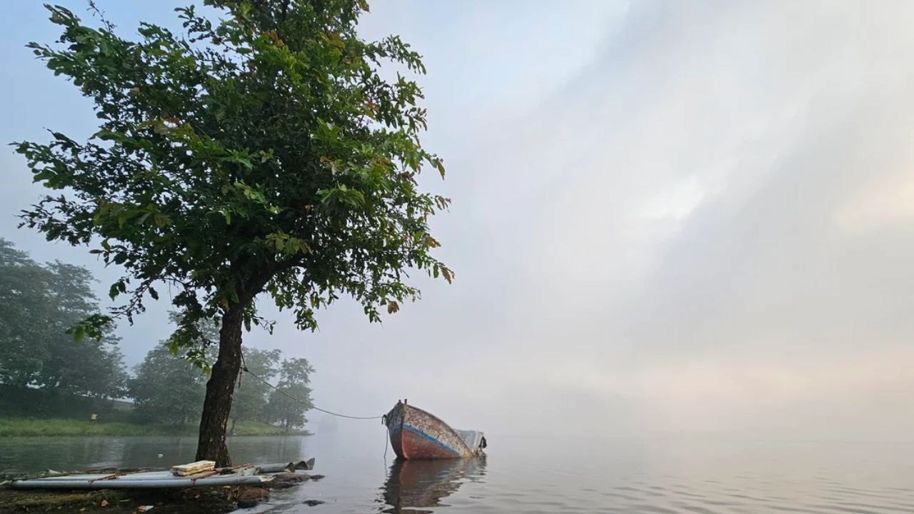 वांद्री तलाव (Vandri Lake) हे पालघर जिल्ह्यातील एक सुंदर ठिकाण आहे, जे मुंबईपासून सुमारे 61 कि.मी. अंतरावर आहे. हे तलाव शांत आणि निसर्गरम्य वातावरणासाठी ओळखले जाते, तसेच येथे ट्रेकिंग, सायकलिंग आणि कॅम्पस सारख्या विविध ऍक्टिव्हिटीजचा आनंद घेता येतो 
