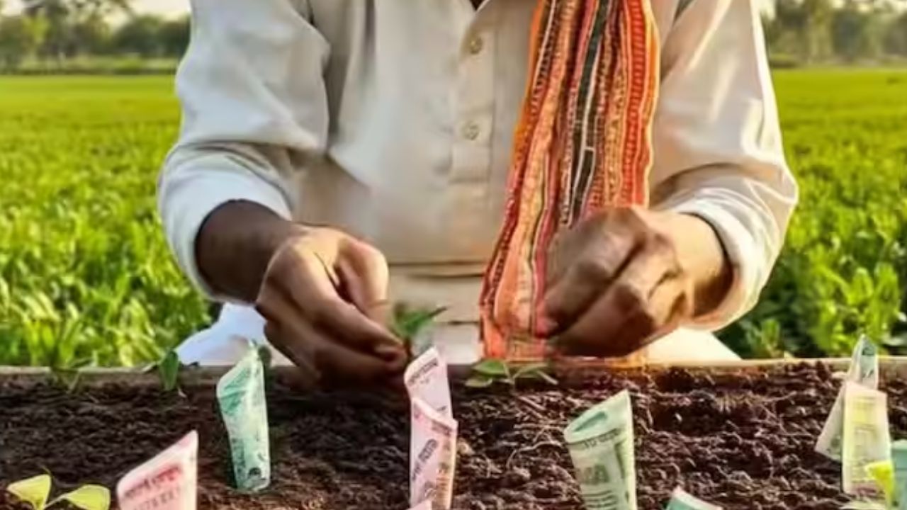 एका दृश्यात, एक शेतकरी त्याच्या शेतातील मातीत नोटांची लागवड करताना दिसतोय, जे पाहून असं वाटतंय की आता शेतात गव्हाऐवजी नोटा उगवत आहेत
