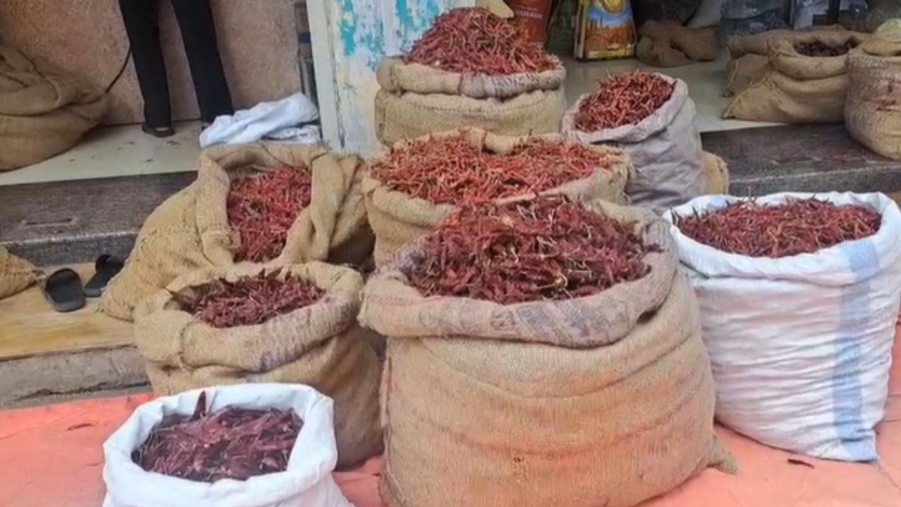 कर्जतच्या मिरचीचा तोराच भारी; मिरचीच्या खरेदीसाठी ग्राहकांची मोठी गर्दी