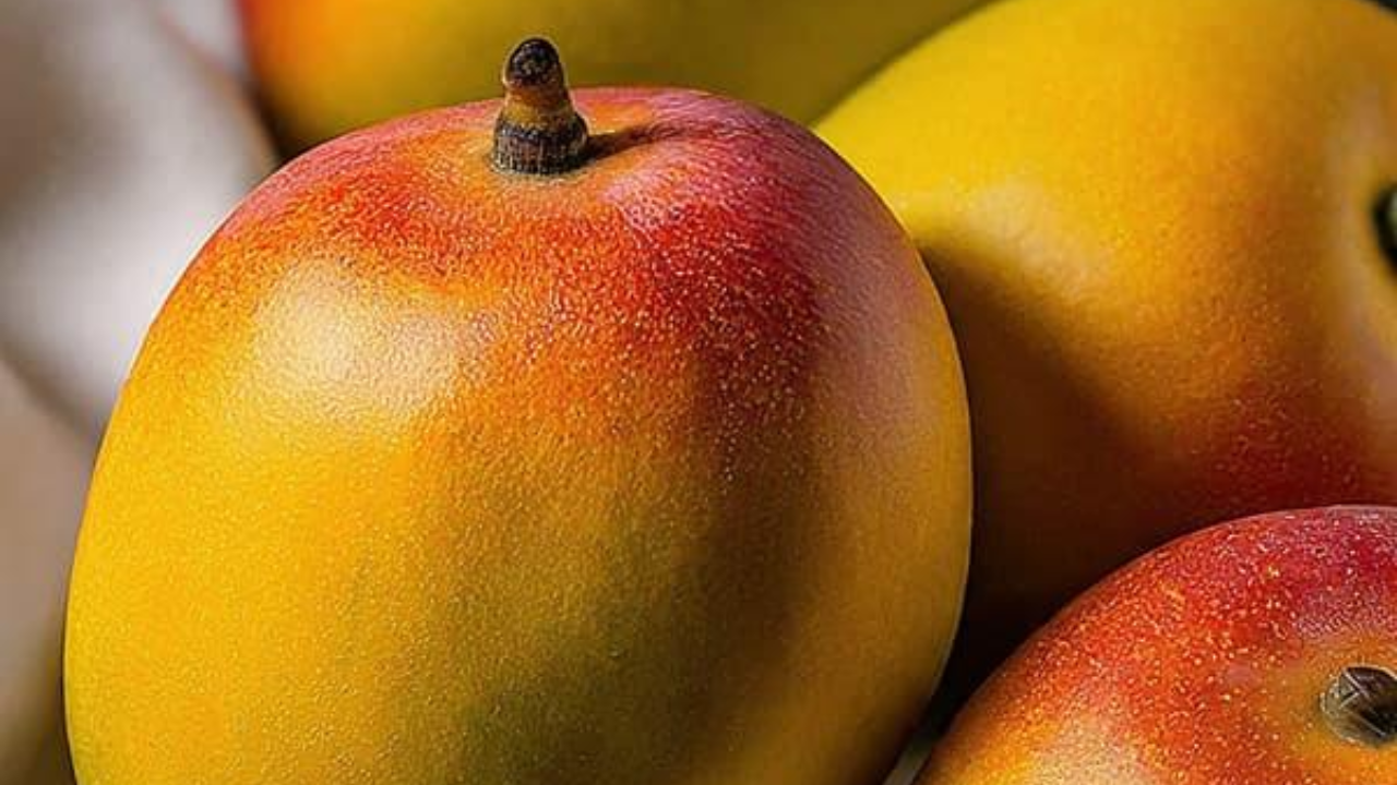 फळांचा राजा की डॉक्टर? आंबा ‘या’ समस्या मुळापासून करतो दूर