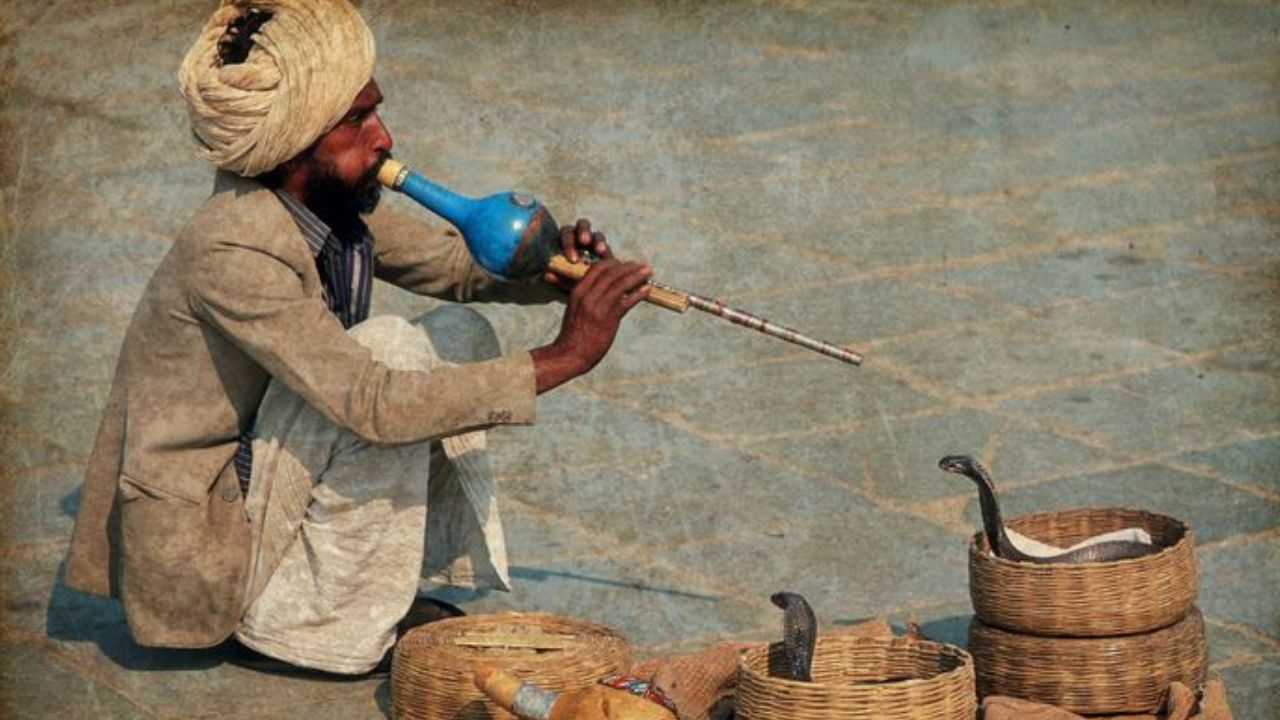 सापाची त्वचा आणि त्याच्या शरीराची रचना इतकी संवेदनशील असते की त्याला अगदी लहानशी हालचालही जाणवते.
