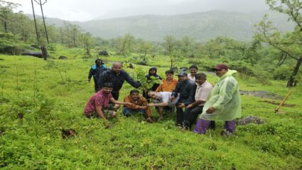 Karjat News: नेरळ व्यापारी वेल्फेअर असोसिएशन आणि वन विभाग यांच्यामार्फत वृक्षारोपण