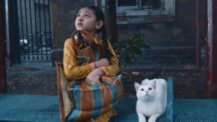 ‘तू धडकन मैं दिल’ स्टार प्लसवरील या नवीन मालिकेचा प्रोमो रिलीज, चाहत्यांची वाढली उत्सुकता!