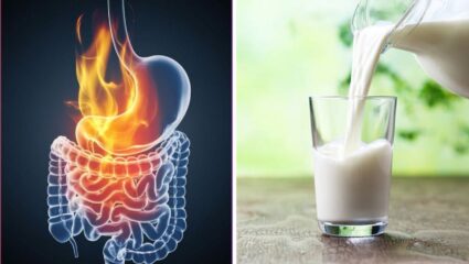 बद्धकोष्ठतेमुळे पोटात वाढलेली जळजळ कमी करण्यासाठी ‘या’ पदार्थांचे करा सेवन, घरगुती उपाय ठरतील प्रभावी