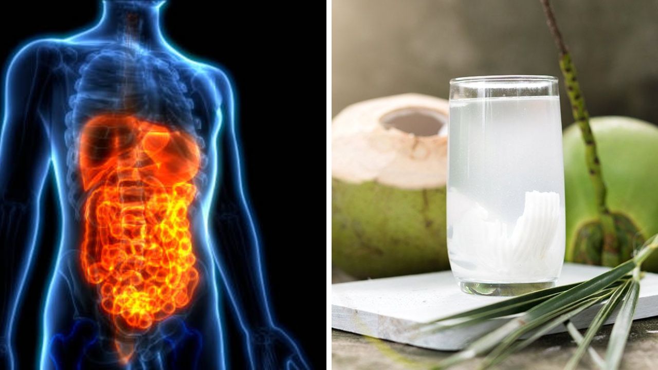चुकीचे पदार्थ खाऊन Gut Health खराब होते? मग 'या' फळांचे सेवन करून तात्काळ मिळवा आराम