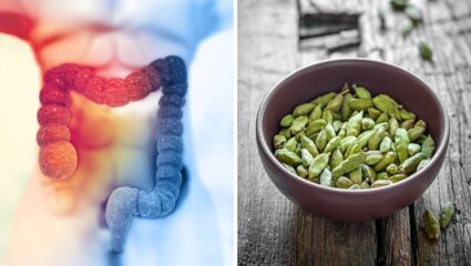 सतत होणाऱ्या ॲसिडिटी आणि डोके दुखीमुळे त्रस्त आहात? मग ‘या’ पद्धतीने करा हिरव्या वेलचीचे सेवन, पचनक्रिया राहील निरोगी