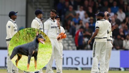 IND vs ENG : ‘टीम इंडिया डोबरमन कुत्र्यासारखी…’, भारताच्या पराभवानंतर माजी क्रिकेटपटूच्या विधानाने खळबळ 