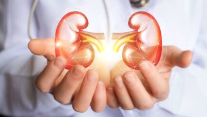 World Kidney Cancer Day: किडनीच्या कर्करोगापासून शरीराचा बचाव करतील ‘हे’ आरोग्यदायी पदार्थ, नियमित करा सेवन