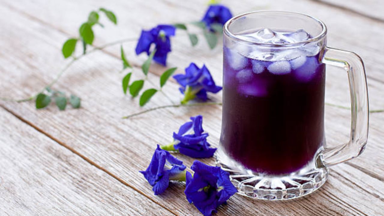 आजारांपासून शरीराचे रक्षण करण्यासाठी नियमित प्या Blue Tea
