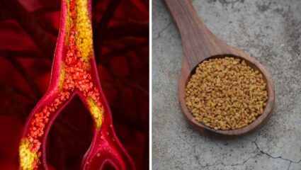 नसांमध्ये साचलेले खराब कोलेस्ट्रॉल कायमचे बाहेर काढून टाकण्यासाठी ‘या’ पिवळ्या दाण्यांचे करा सेवन, रक्तवाहिन्या होतील स्वच्छ