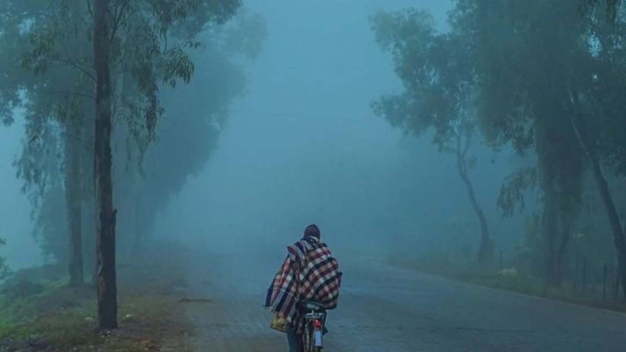 Fogg Village : धुक्यात हरवलेलं गाव, पृथ्वीवरचा स्वर्गच जणू; पावसाळ्यात ‘या’ ठिकाणाला नक्की भेट द्या