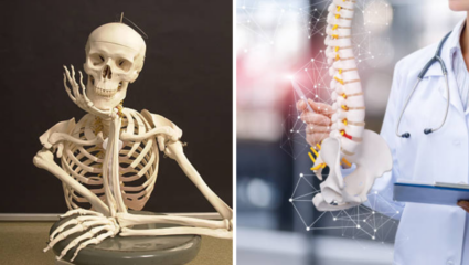 हाडांचा सांगाडा करून चुराडा करून टाकतो ‘हा’ आजार, 5 लक्षणं दिसताच व्हा सावध!