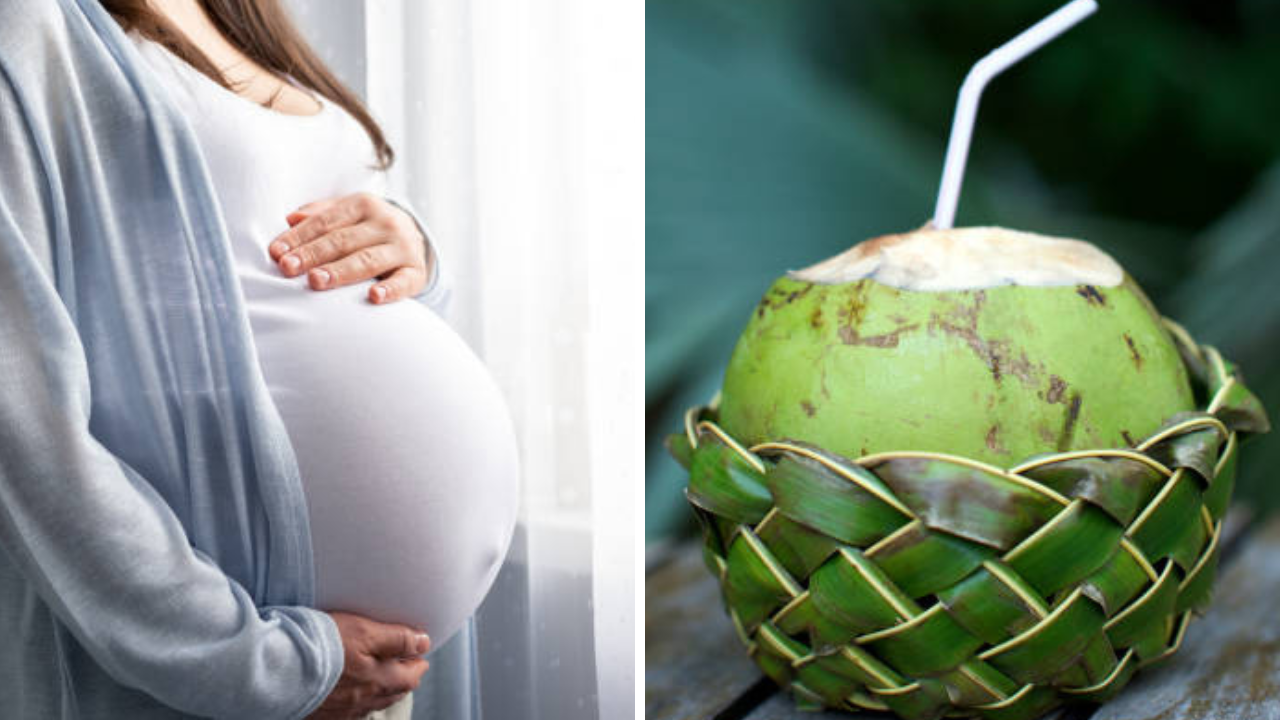 Pregnancy Tips: गरोदरपणात रोज नारळ पाणी योग्य की अयोग्य, MBBS डॉक्टरांनी दिल्या सुरक्षेच्या टिप्स