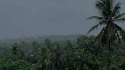 Monsoon Update :  पुढील 48 तास मुसळधार पावसाचा इशारा; मुंबईसह ‘या’ जिल्ह्यांना हवामान विभागाने दिला अर्लट