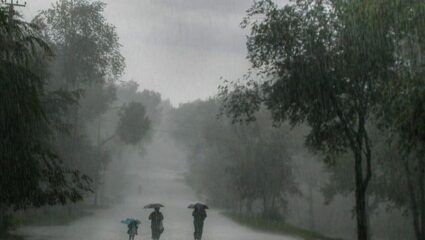 Maharashtra Weather:  कुठे मध्यम तर कुठे मुसळधार; पुढील ५ दिवस राज्यात अतिवृष्टी, हवामान विभागाचा इशारा