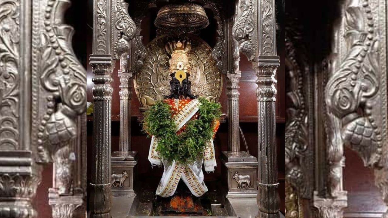 वारी म्हटलं की आठवते ती आळंदी आणि देहूवरून निघणारी ज्ञानोबा आणि तुकोबांची पालखी. 