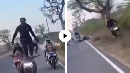 भावाचा स्टंट चुकला की यमाचा नेम? स्टंटबाजी एकाची अन् अपघात दुसऱ्याचा; नक्की काय घडलं… पहा Viral Video