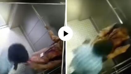 मूर्ती लहान पण कीर्ती महान! शाळेत जायच्या वयात, पोरं आली वयात; लिफ्टमध्ये शिरताच केलं असं काही… पाहून तरुणाईला फुटला घाम