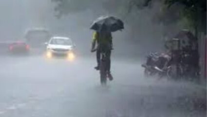 यवतमाळमध्ये पावसाची दमदार बॅटिंग; तब्बल 8 तास धुवांधार पाऊस, पिकांना मोठा फटका