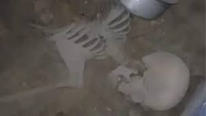 एका जुन्या बंद घरात सापडला मानवी हाडांचा सापळा; रहस्यमय प्रकरणाचा नोकिया फोनने केला खुलासा; पोलिसही झाले चकित