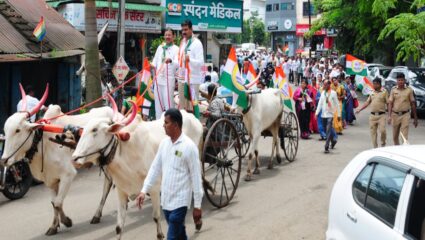सरकारच्या चुकीच्या धोरणांनी शेतकरी राजा हवालदिल; इस्लामपुरात राष्ट्रवादीकडून बैलगाड्या-ट्रॅक्टर मोर्चा