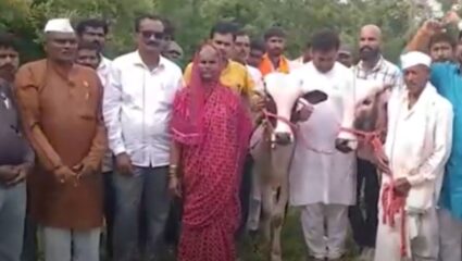 Latur Shetkari Viral Video : मशागतीचा खर्च परवडत नसलेल्या शेतकऱ्यांना क्रांतिकारी शेतकरी संघटनेने दिली पाऊण लाखांची बैलजोडी