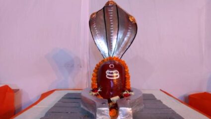 Nag Panchami: नागपंचमीच्या दिवशी शिवलिंगावर या वस्तू अर्पण केल्याने होईल आर्थिक लाभ