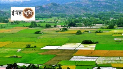 भूमिअभिलेखच्या पोर्टलवरून तब्बल 83 गावं गायब, नक्की काय आहे प्रकार?