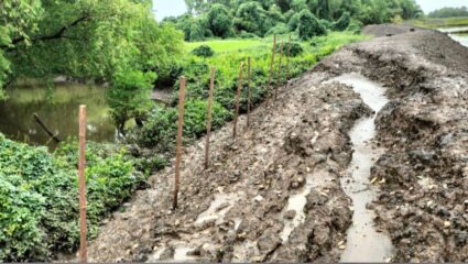 Raigad News : 900 एकर शेती पाण्याखाली जाण्याचा धोका; खारबंदिस्ती वाहून जाण्याची भिती