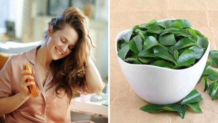 कढीपत्त्याच्या पानांचे तेल केसांसाठी ठरेल वरदान! केसांमध्ये वाढलेले इन्फेक्शन- कोंडा होईल कायमचा नष्ट