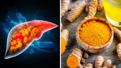 दारूमुळे सडलेले लिव्हर आतून होईल चकाचक स्वच्छ! रोजच्या आहारात करा ‘या’ पदार्थांचे सेवन, फॅटी लिव्हरचा धोका होईल कमी