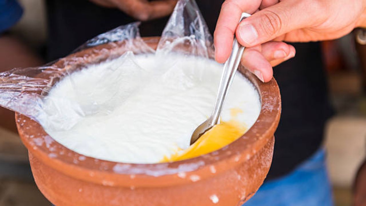 दही खाणे आरोग्यासाठी चांगले आहे. पण लहान मुलांना कधीच बंद डब्यातील दही खाण्यास देऊ नये. यामुळे मुलांच्या रोगप्रतिकारशक्तीवर गंभीर परिणाम होण्याची जास्त शक्यता असते. 