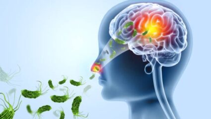 मुंबईमध्ये वाढतोय मेंदूच्या संसर्गजन्य आजाराचा धोका, पावसाळ्यात ‘या’ पद्धतीने घ्या आरोग्याची काळजी