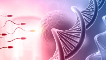 World IVF Day: आयव्हीएफ म्हणजे काय? जाणून घ्या तज्ज्ञांनी सांगितलेली सविस्तर माहिती