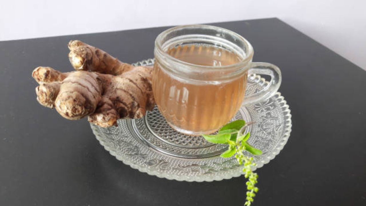 धार्मिक गुणधर्मांनी समृद्ध असलेली तुळस आरोग्यासाठी फायदेशीर आहे. कारण यामध्ये अँटीऑक्सिडंट, अँटीव्हायरल आणि अँटीबॅक्टेरियल गुणधर्म  असतात. ज्यामुळे श्वसनाच्या समस्या कमी होतात, ताण कमी होतो आणि रोगप्रतिकारक शक्ती मजबूत होते. 