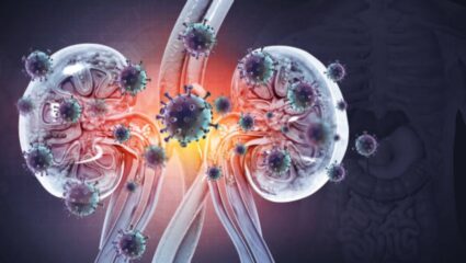 किडनीमध्ये साचून राहिलेली घाण स्वच्छ करण्यासाठी आहारात करा ‘या’ पदार्थांचे सेवन, नैसर्गिक डिटॉक्स ठरेल फायद्याचे