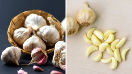 सकाळी उठल्यानंतर उपाशी पोटी नियमित चावून खा ‘हा’ पांढरा पदार्थ, शरीराला होतील आश्चर्यकारक फायदे