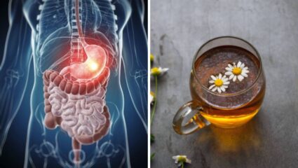 छातीमध्ये वाढलेली जळजळ कमी करण्यासाठी आहारात करा ‘या’ पदार्थांचा समावेश, अ‍ॅसिड होईल कमी