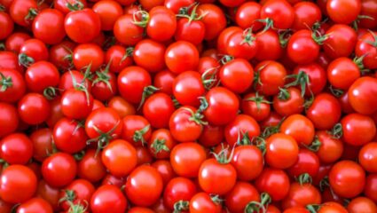 ‘या’ लोकांच्या आरोग्यासाठी टोमॅटो ठरेल विषासमान! रोजच्या आहारात चुकूनही करू नका,शरीरात होतील मोठे बदल