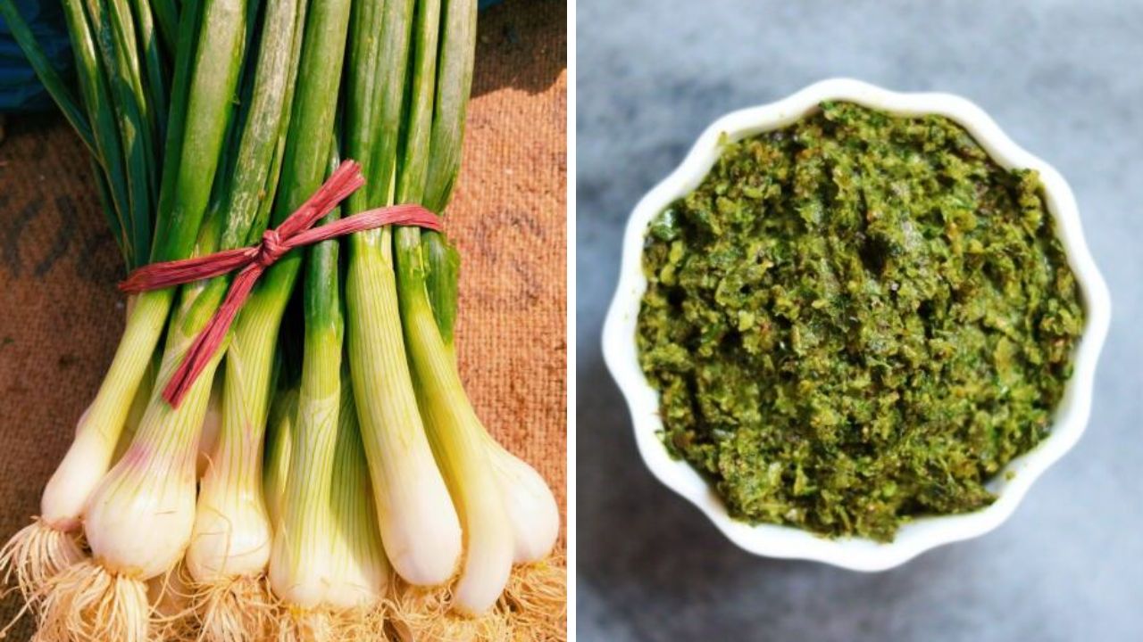 पावसाळ्यात सकाळच्या नाश्त्यात गरमागरम भाकरीसोबत खाण्यासाठी झटपट बनवा कांद्याच्या पातीची चमचमीत चटणी सकाळच्या नाश्त्यात गरमागरम भाकरीसोबत खाण्यासाठी झटपट बनवा कांद्याच्या पातीची चमचमीत चटणी