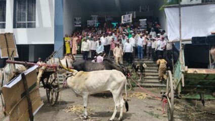 दगड खाण व स्टोन क्रशरला परवानगी दिलीच कशी? आक्रमक वाईकर ग्रामस्थ गाई-बैलांसहित निघाले मुंबईला