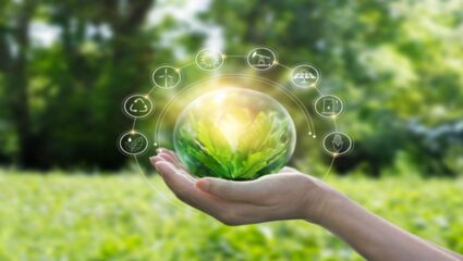World Energy Independence Day : स्वच्छ भविष्यासाठी पर्यायी ऊर्जेकडे वाटचाल, भारतासाठी का आहे महत्त्वाचा?